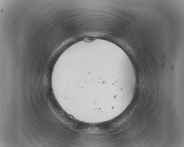 X0000086000256200704201838