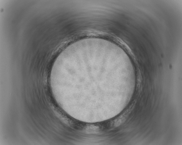 X0000086000257200704201838