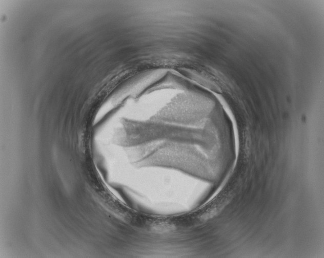 X0000086000258200704201838