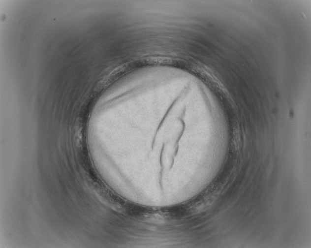 X0000086000259200704201838