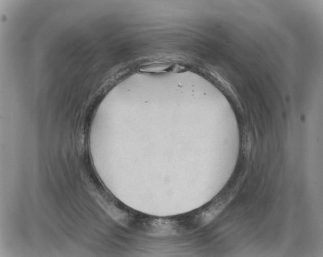 X0000086000261200704201838