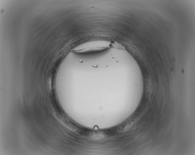 X0000086000262200704201838