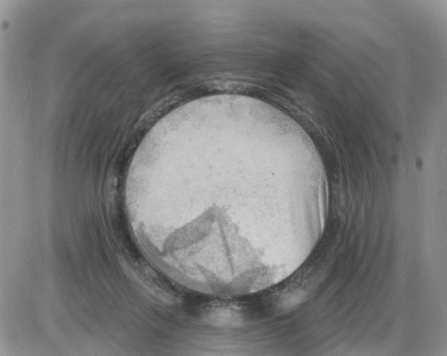 X0000086000263200704201839