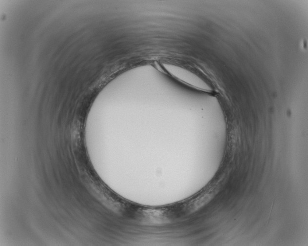 X0000086000265200704201839