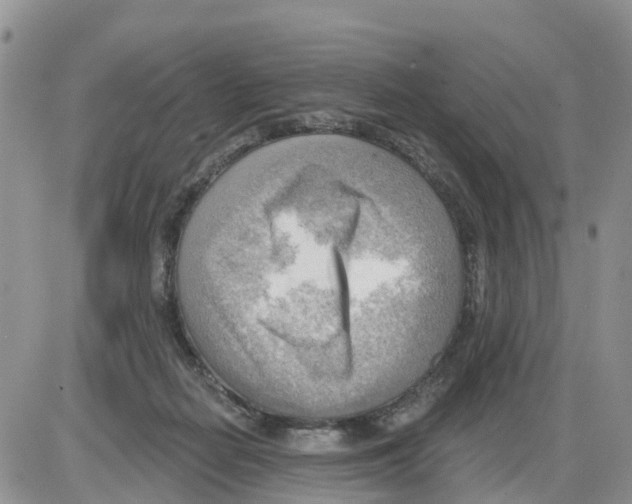 X0000086000266200704201839