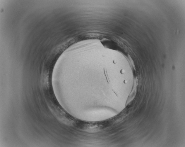 X0000086000267200704201839