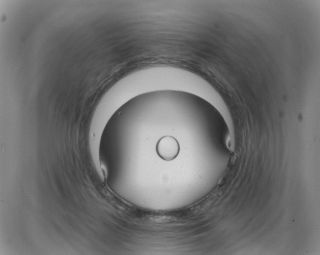 X0000086000268200704201839