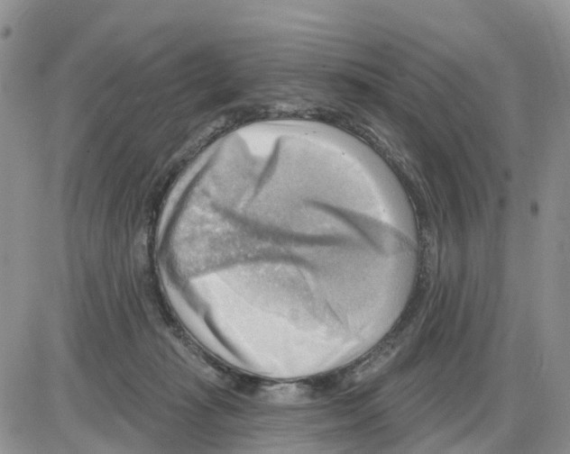 X0000086000269200704201839