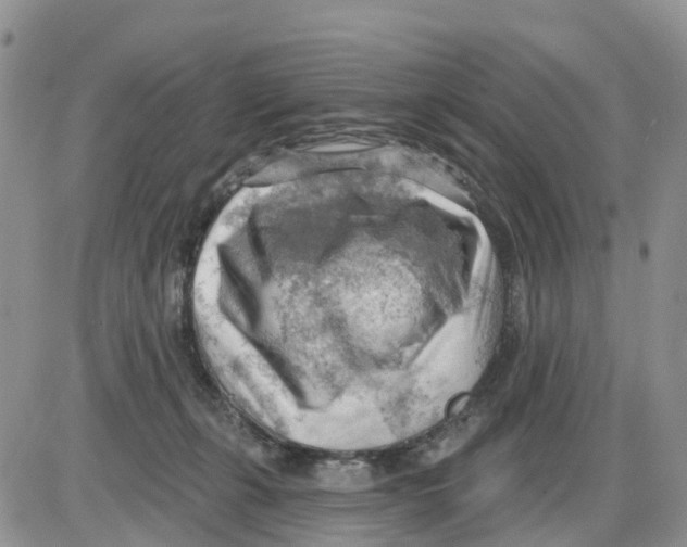 X0000086000271200704201839