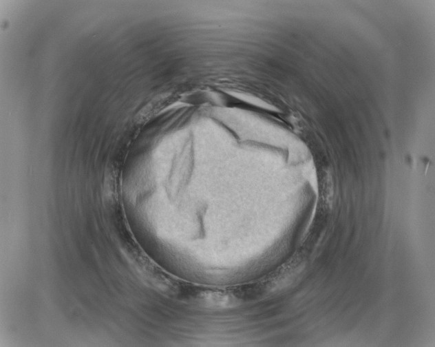 X0000086000272200704201839