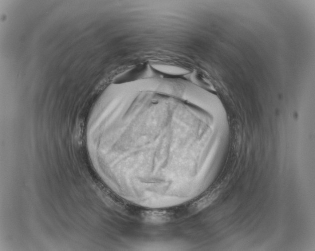 X0000086000273200704201839