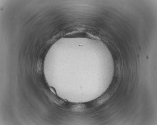 X0000086000274200704201839