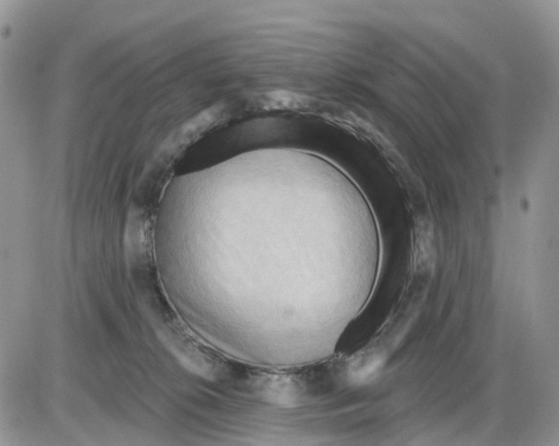 X0000086000276200704201839