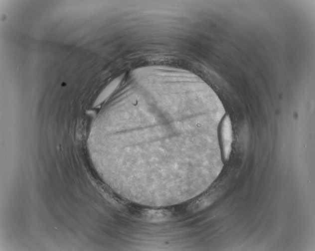 X0000086000277200704201839