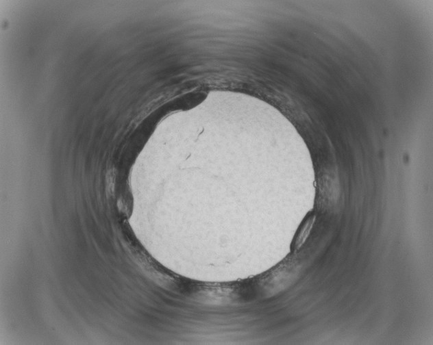 X0000086000278200704201839