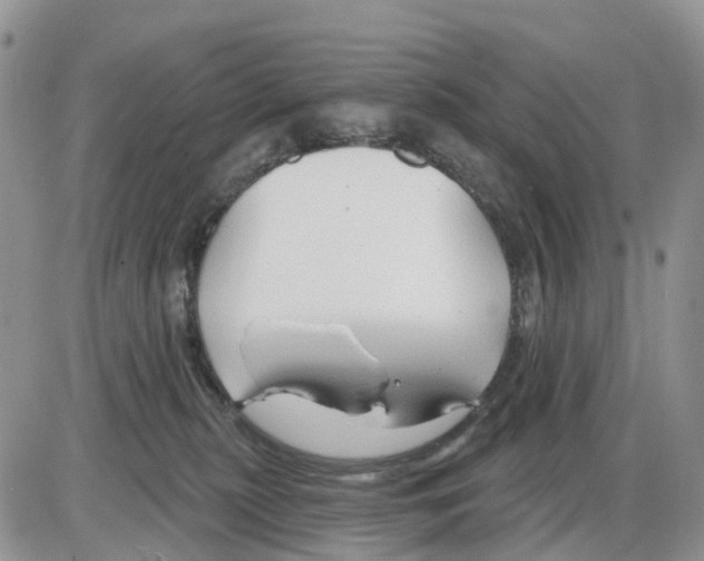 X0000086000279200704201839