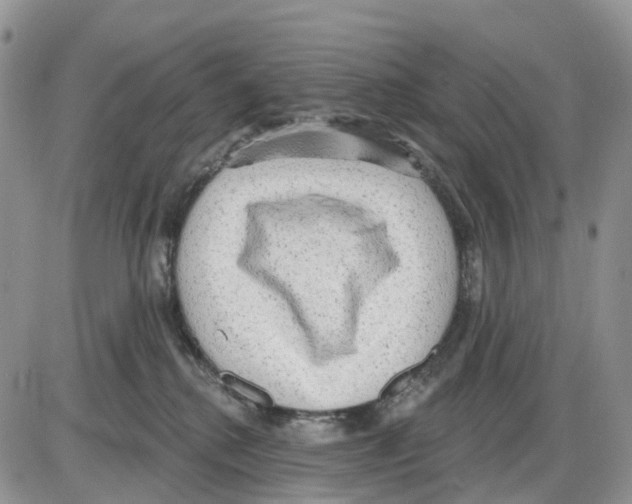 X0000086000280200704201839