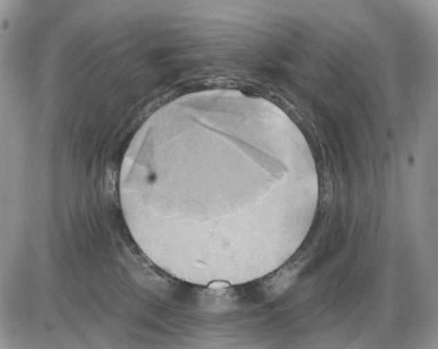 X0000086000281200704201839