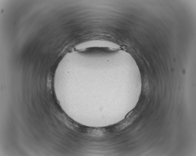 X0000086000282200704201839