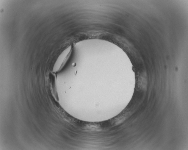 X0000086000283200704201839