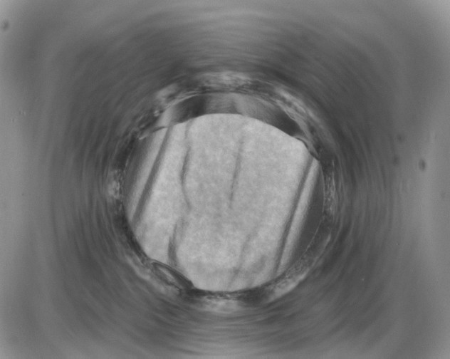 X0000086000284200704201839