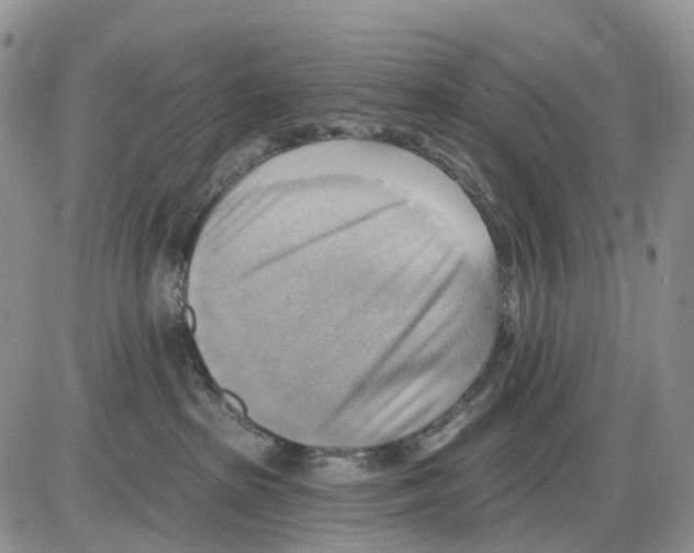 X0000086000285200704201839