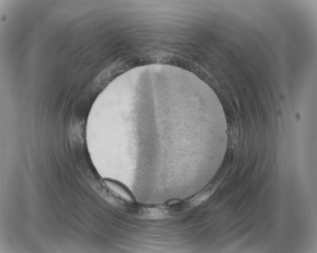 X0000086000286200704201839