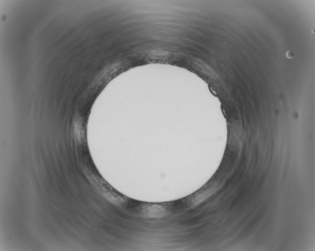 X0000086000287200704201839