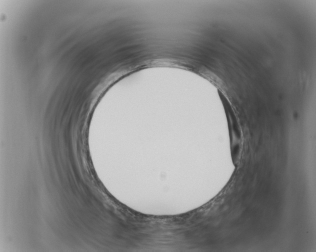 X0000086000289200704201838