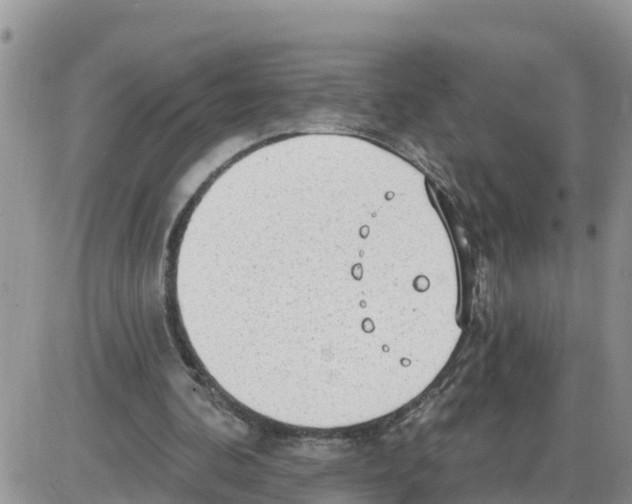 X0000086000292200704201838