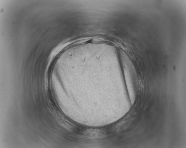 X0000086000294200704201838