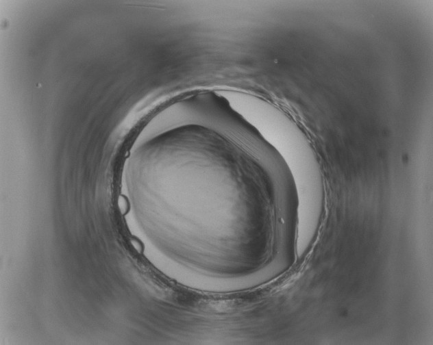 X0000086000295200704201838