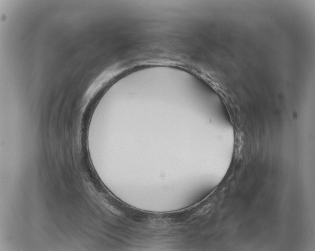 X0000086000296200704201838