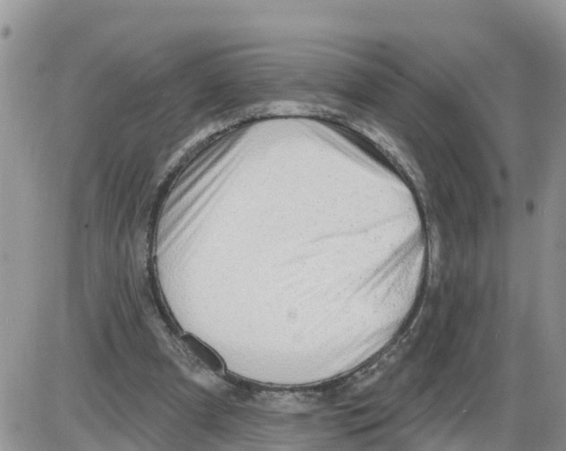 X0000086000297200704201838