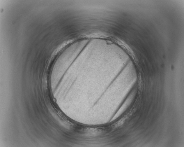 X0000086000298200704201838