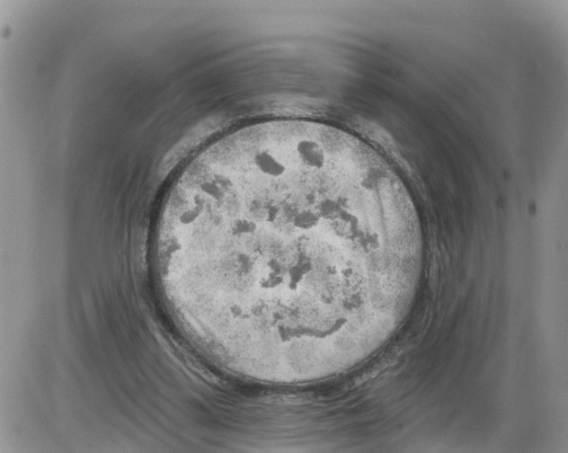 X0000086000299200704201838