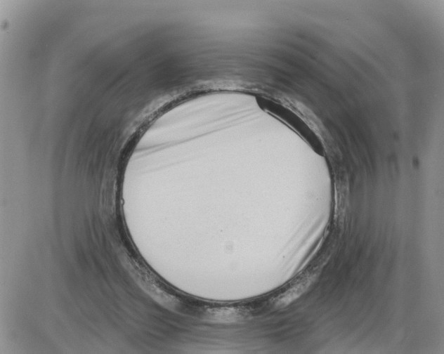 X0000086000301200704201838