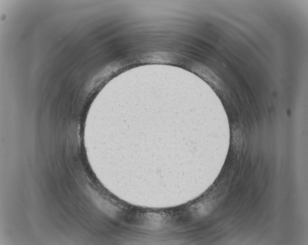 X0000086000302200704201838