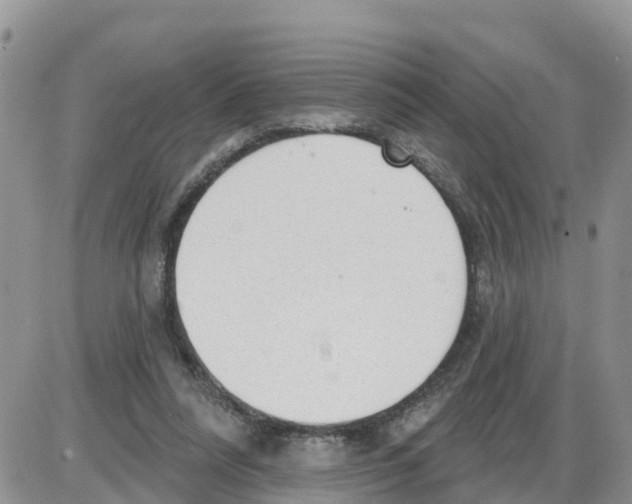 X0000086000304200704201838