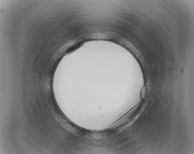 X0000086000305200704201838