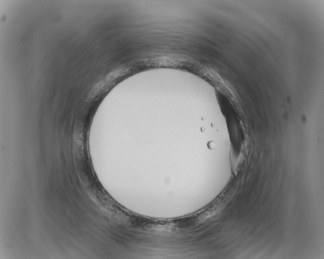 X0000086000306200704201838