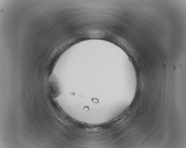 X0000086000307200704201838