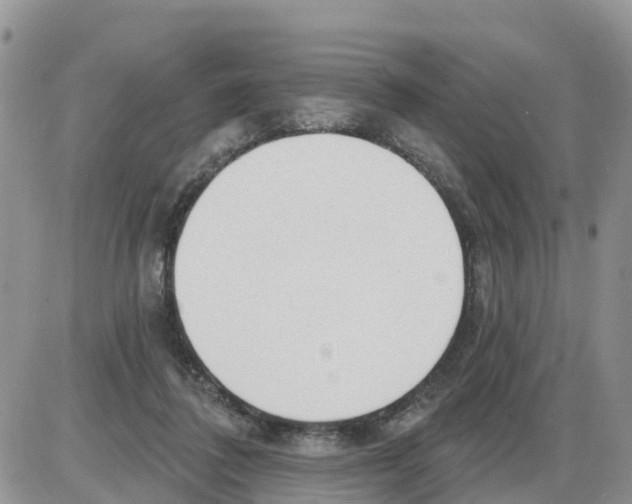 X0000086000308200704201838