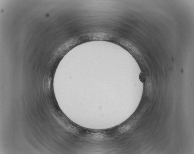 X0000086000310200704201838