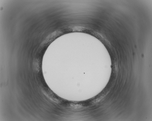 X0000086000311200704201838