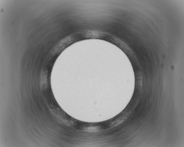 X0000086000312200704201838