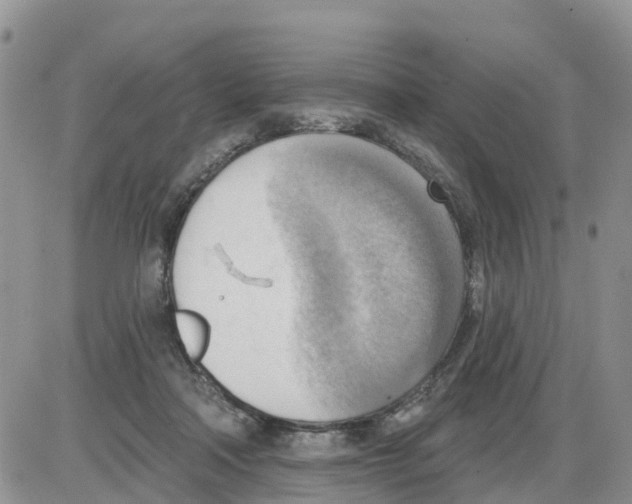 X0000086000314200704201838