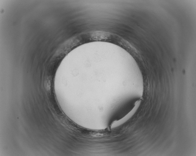 X0000086000315200704201838