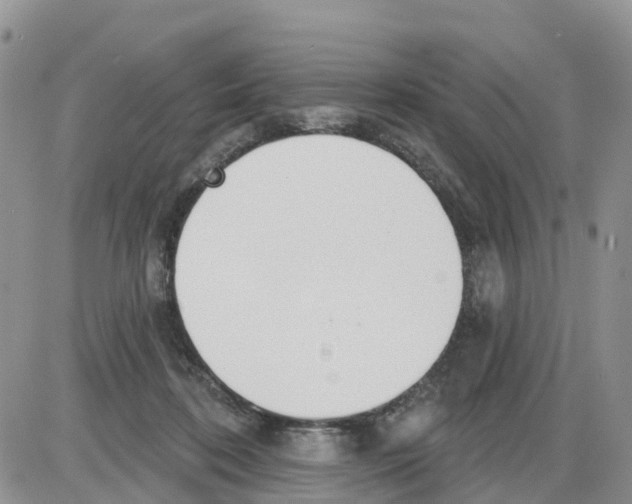 X0000086000316200704201838