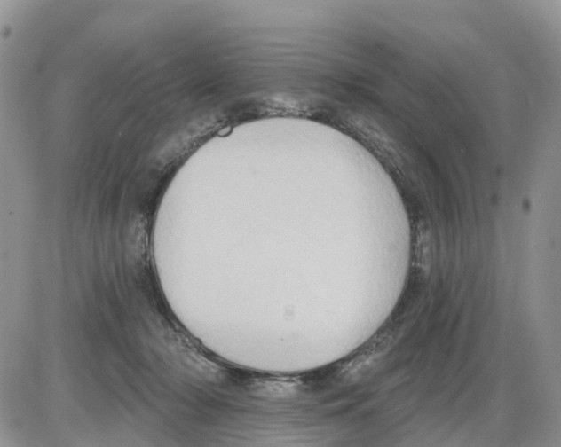 X0000086000318200704201838